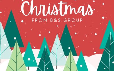 Merry Christmas and Happy New Year from B&S Group